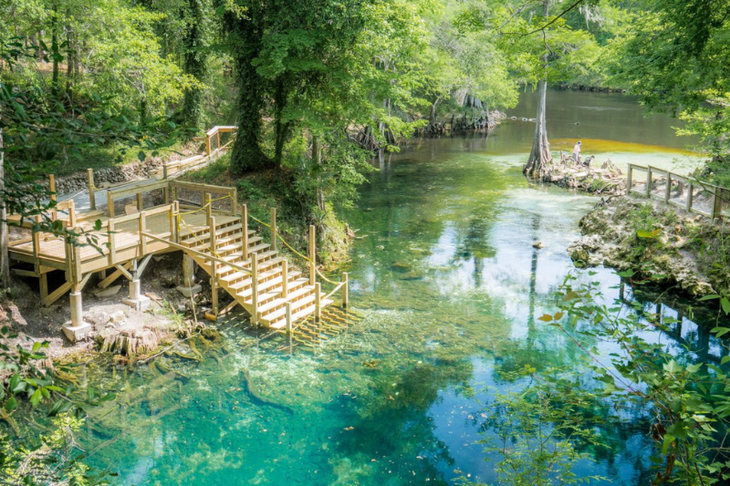 blue spring state park