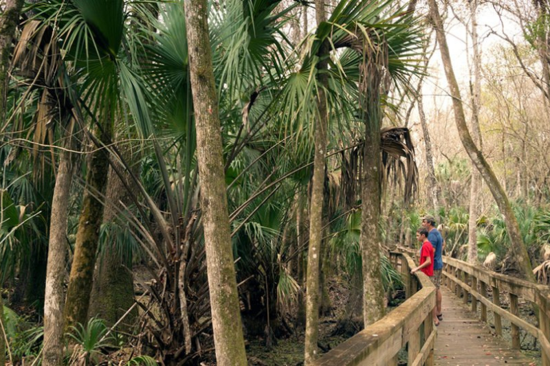 University of North Florida Nature Trails